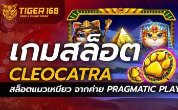 เกมสล็อต Cleocatra สล็อตแมวเหมียว