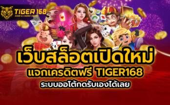 เว็บสล็อต เปิดใหม่ แจกเครดิตฟรี TIGER168 ระบบออโต้กดรับเองได้เลย